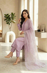 Fashion Festive Wear