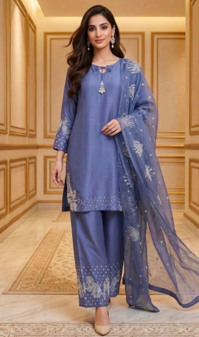 Modern Embroidered Outfit
