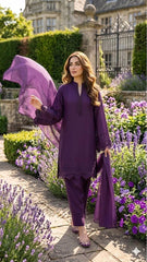 Graceful Festive Look